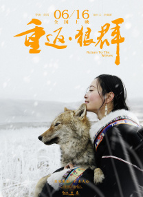 采用全新背景与角色 2020-05-27 近日，据外媒报道，电影《龙纹身的女孩》将开发同名剧集，该剧将由亚马逊开发，聚焦了女黑客莉丝贝丝·沙兰德。
